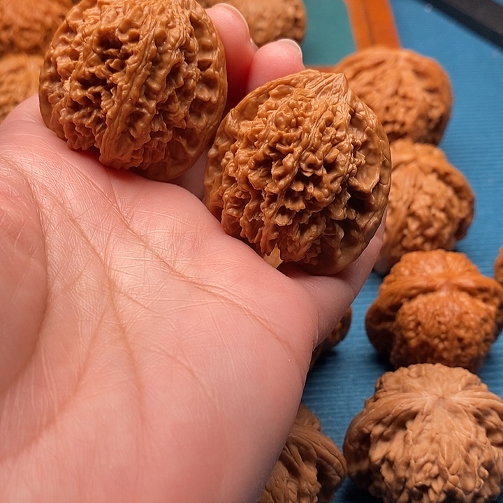 满天星38尺已打底手把件