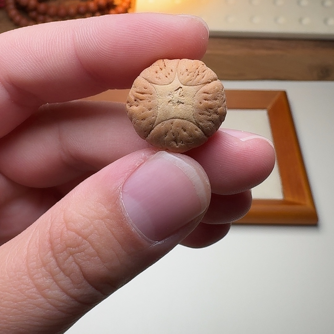 吊坠凤眼菩提五星