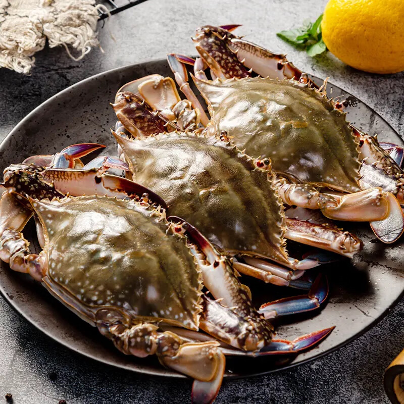 【保鲜不保活】鲜活发货无品牌青岛梭子蟹带皮筋约200g约4两/1只