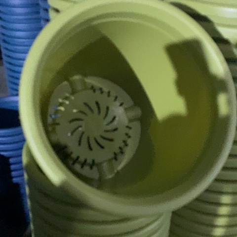 树脂四季7号果绿无托6个