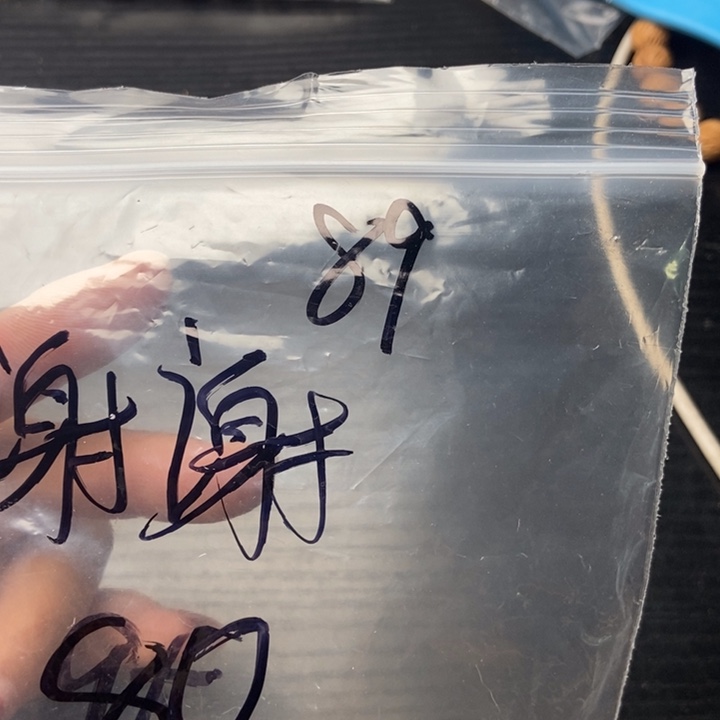 谢***谢文玩核桃吊坠小桃核散籽批发80