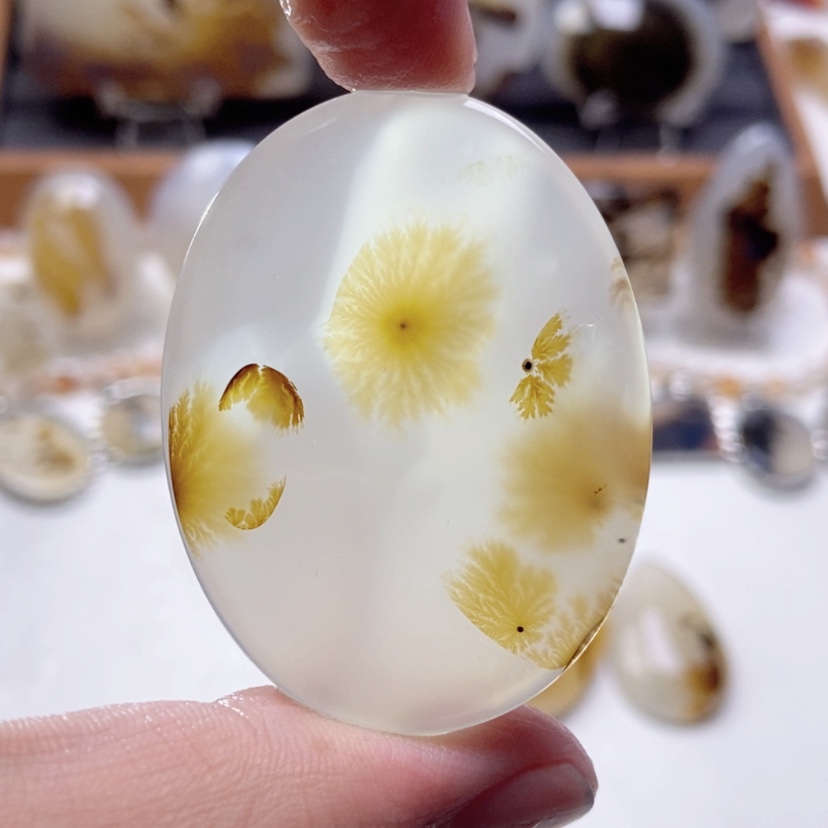 【闪购商品】玛瑙/玉髓颈饰未镶嵌