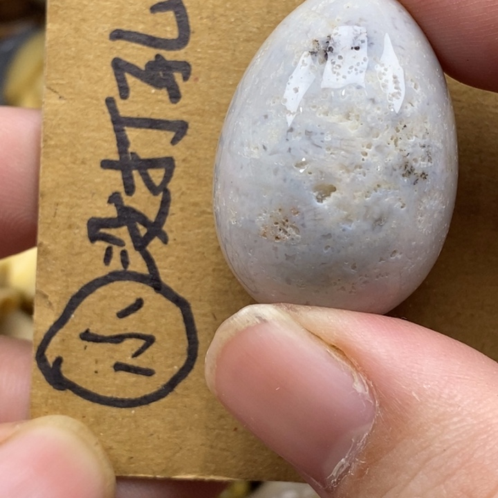 硅化珊瑚（珊瑚玉）未镶嵌颈饰有瑕