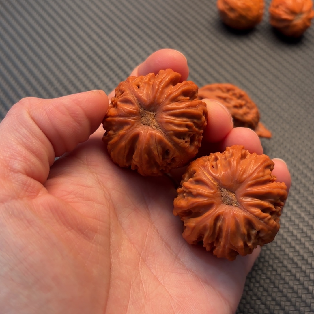 张***学文玩核桃手串哈哈