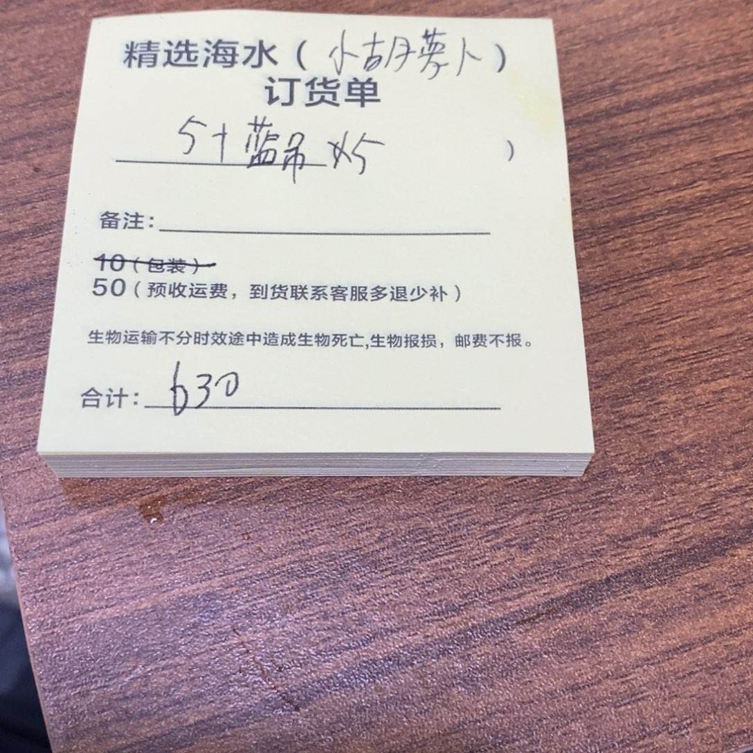 海水鱼蓝调五个五公分