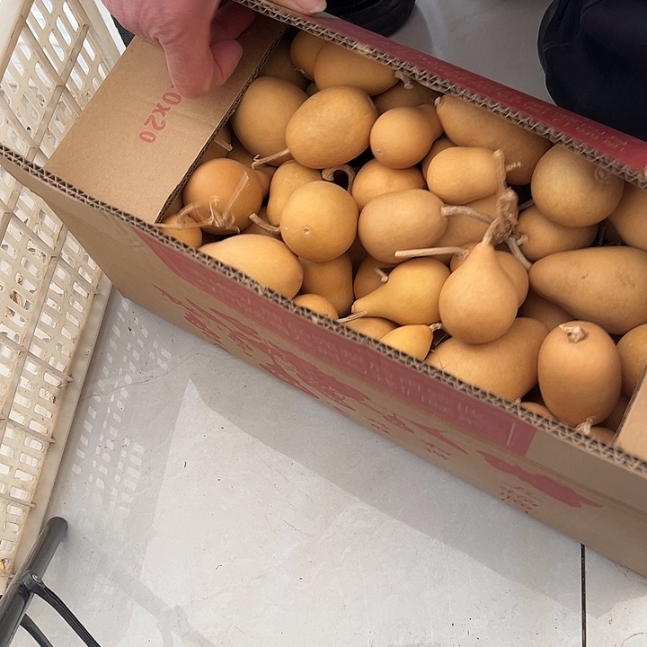 安***o忽略文玩摆件制品