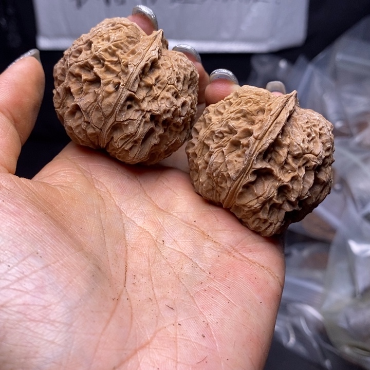 核桃云南野生铁核桃147号43mm