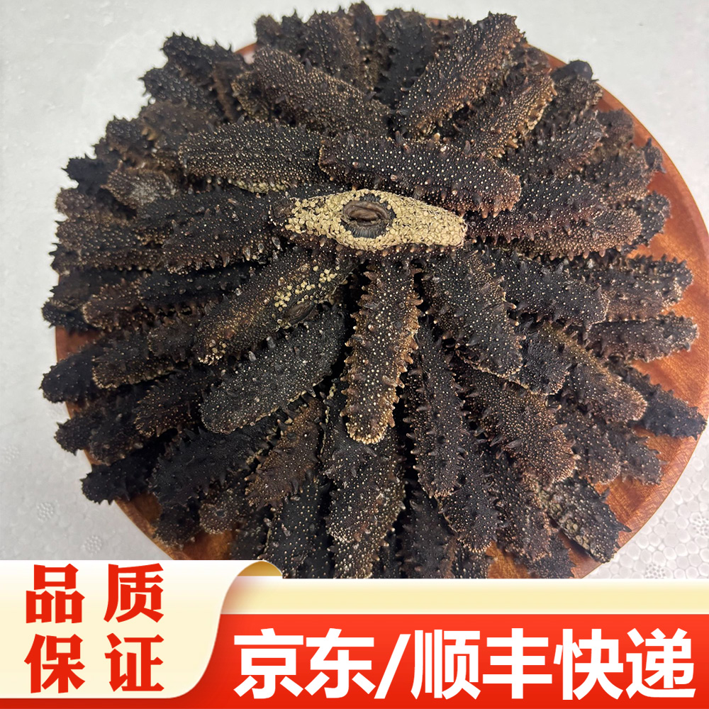 【精选】国标海参 干货