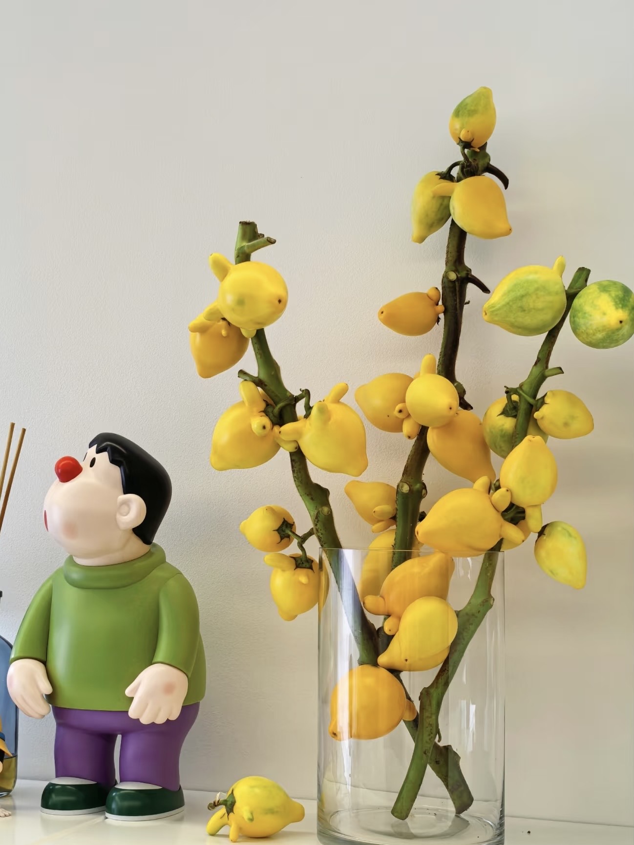 五代黄金果【小猪佩奇】可做干花云南鲜花批发基地直发