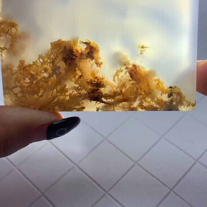 未镶嵌颈饰玛瑙/玉髓
