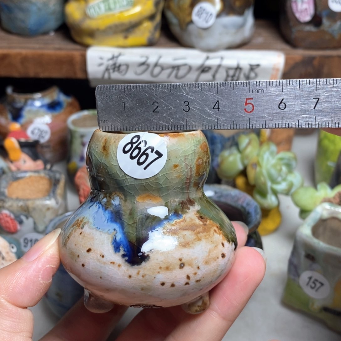 拍5送一个小礼物