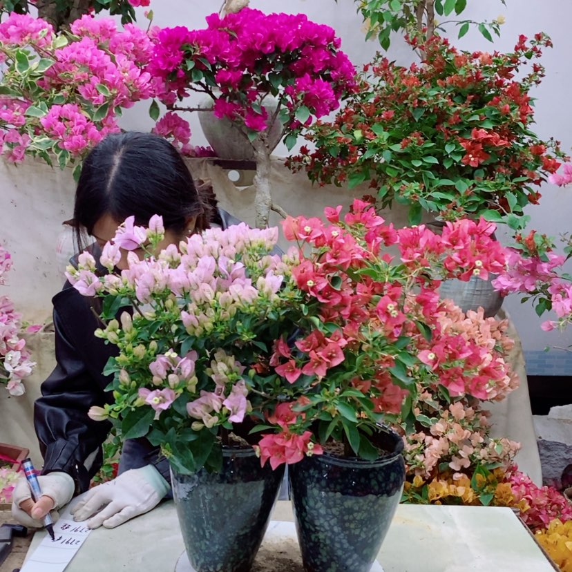 【闪购商品】完全开放