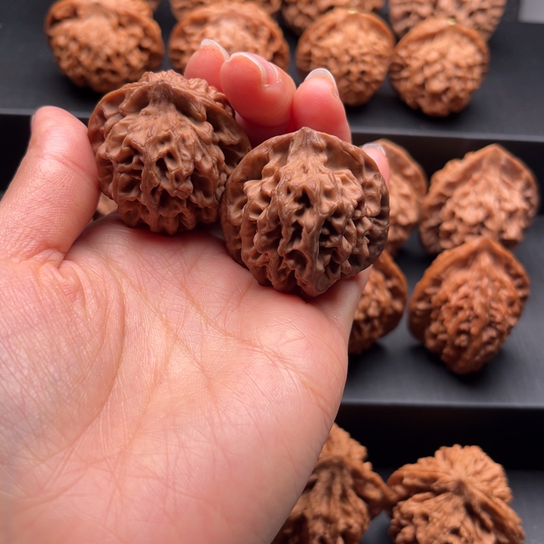 橙***與文玩核桃把件秦闷