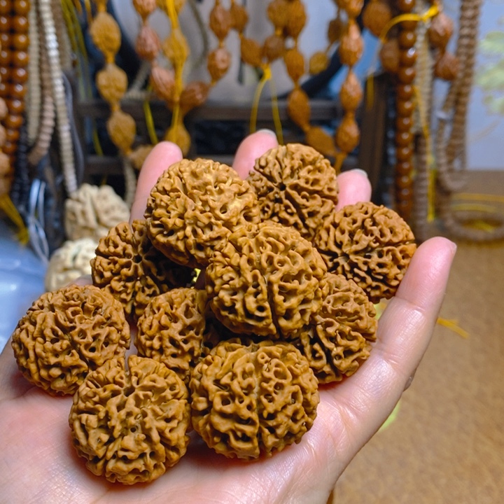 强***爱野生多瓣大金刚手持