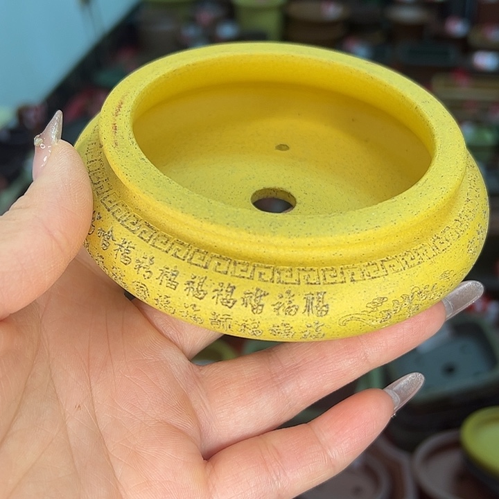 紫砂花盆小花盆雅致