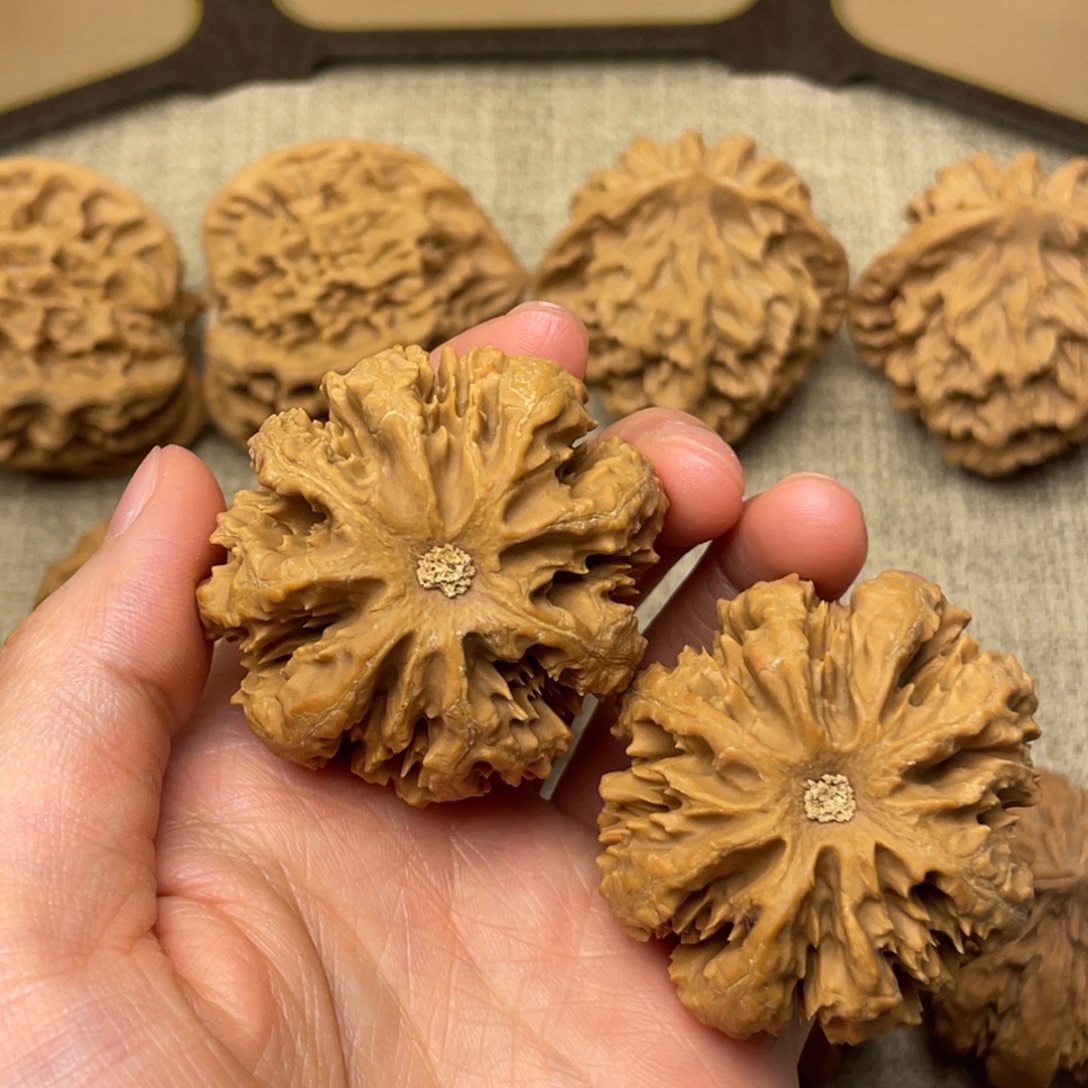 剃***度核桃秦岭核桃26号