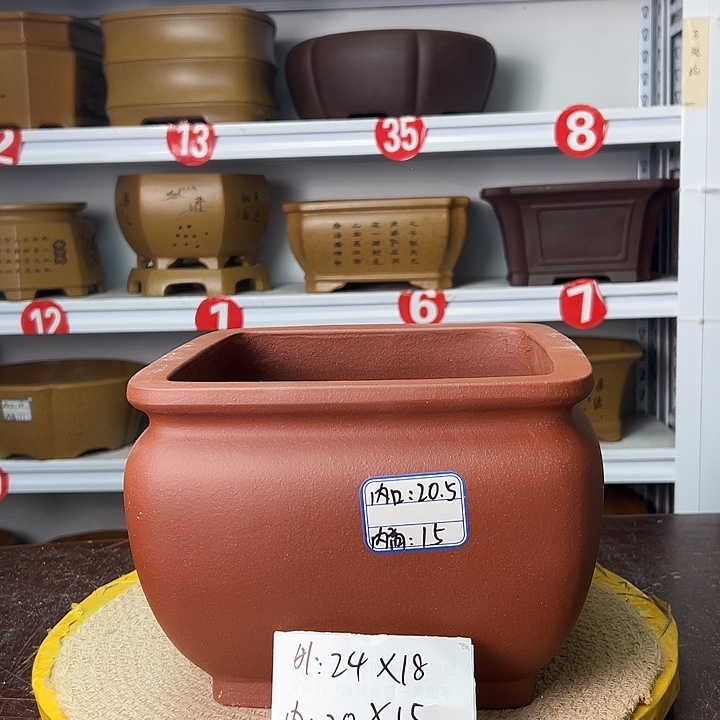 紫砂花盆你在一起