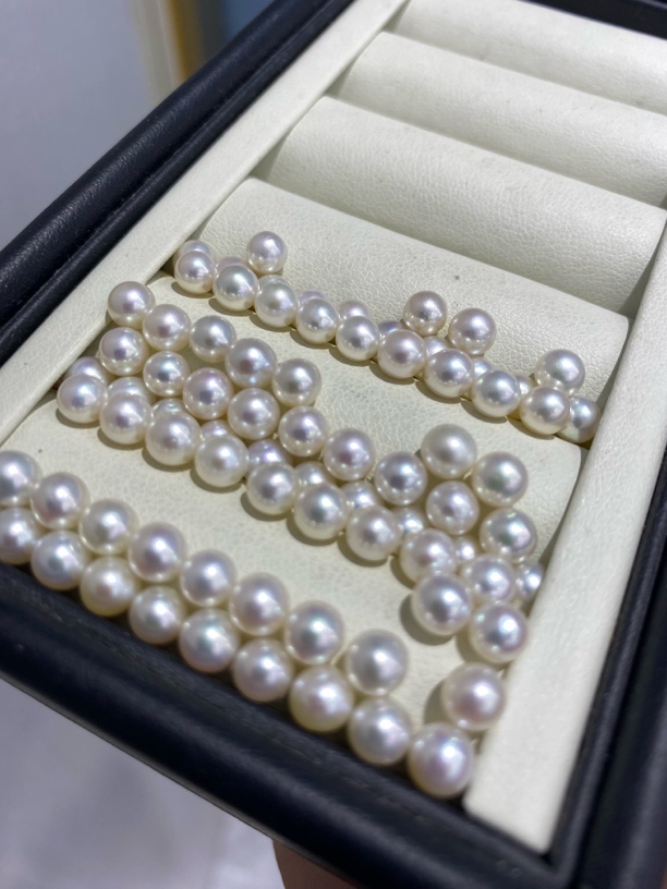 极光AK。开10个可定制可DIY(活体开蚌，不退不换)