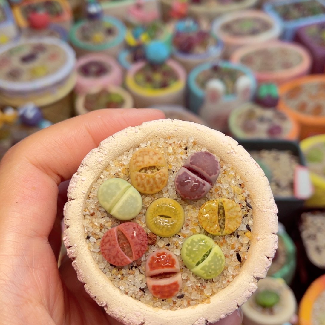 795. 6785577476574686477