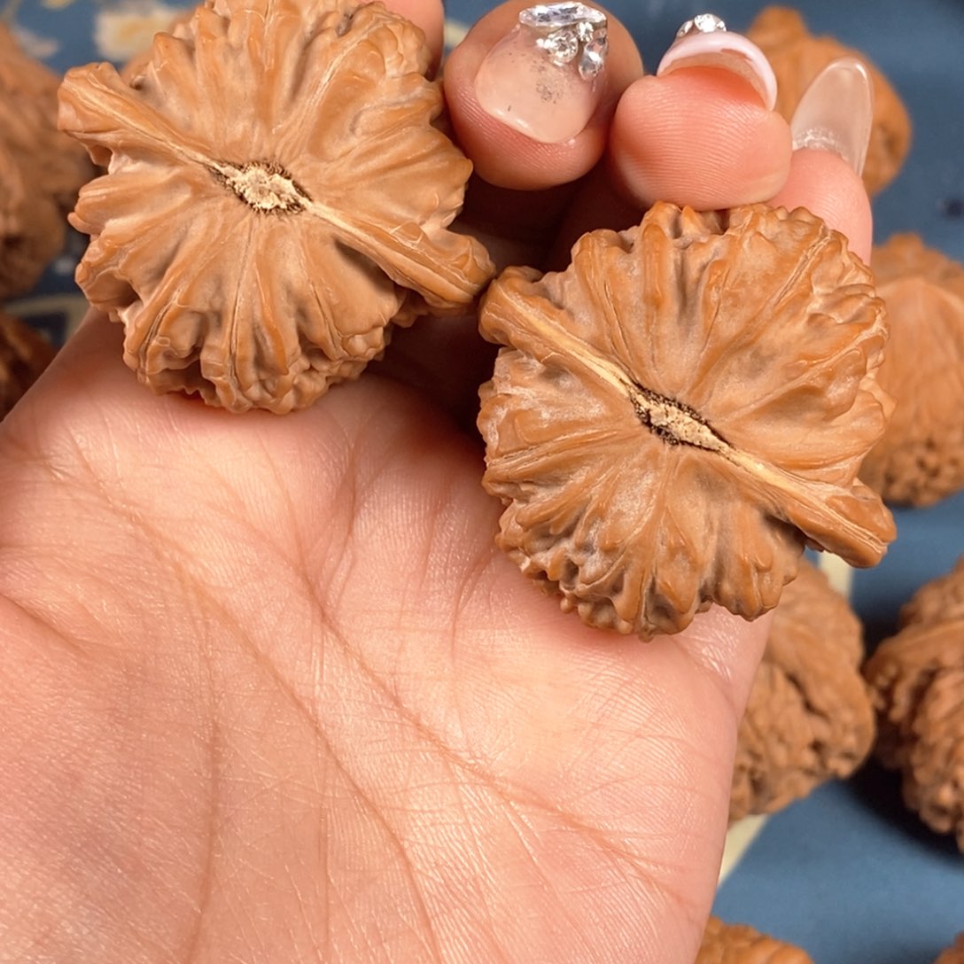 核桃文玩核桃白狮子