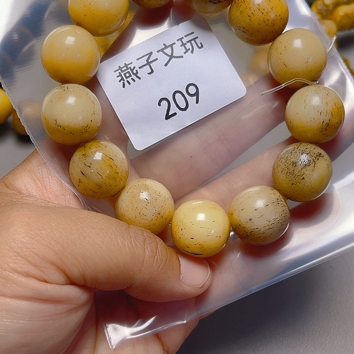 大果紫檀（缅甸花梨）