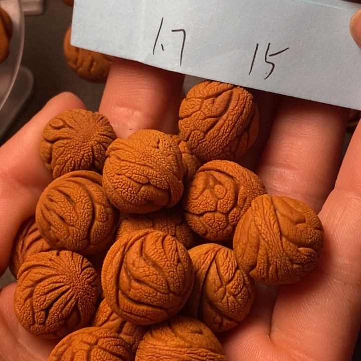 吊坠桃核陕西秦岭山桃核