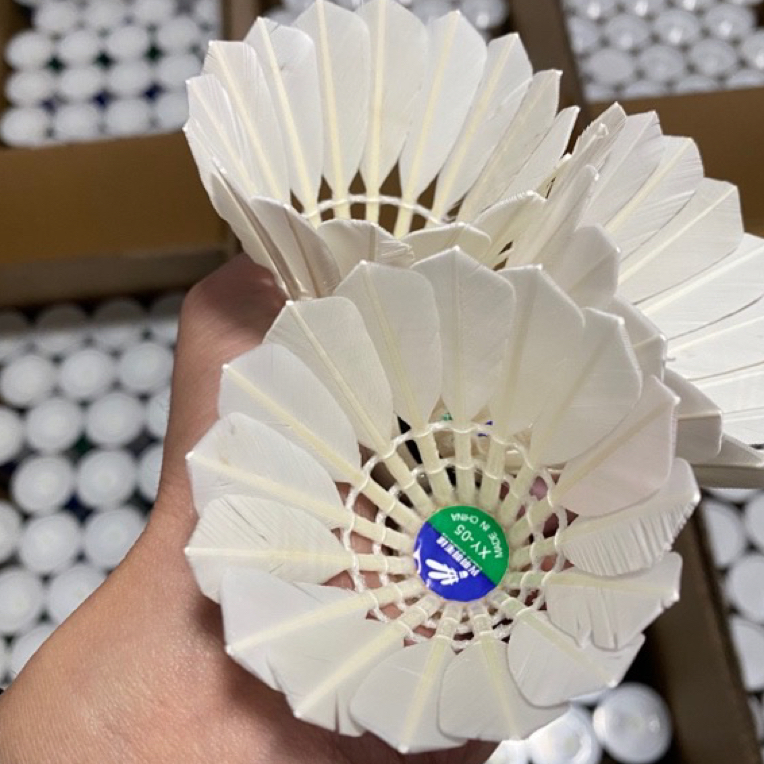 兴羽5号羽毛球业余训练飞行稳定包邮12只