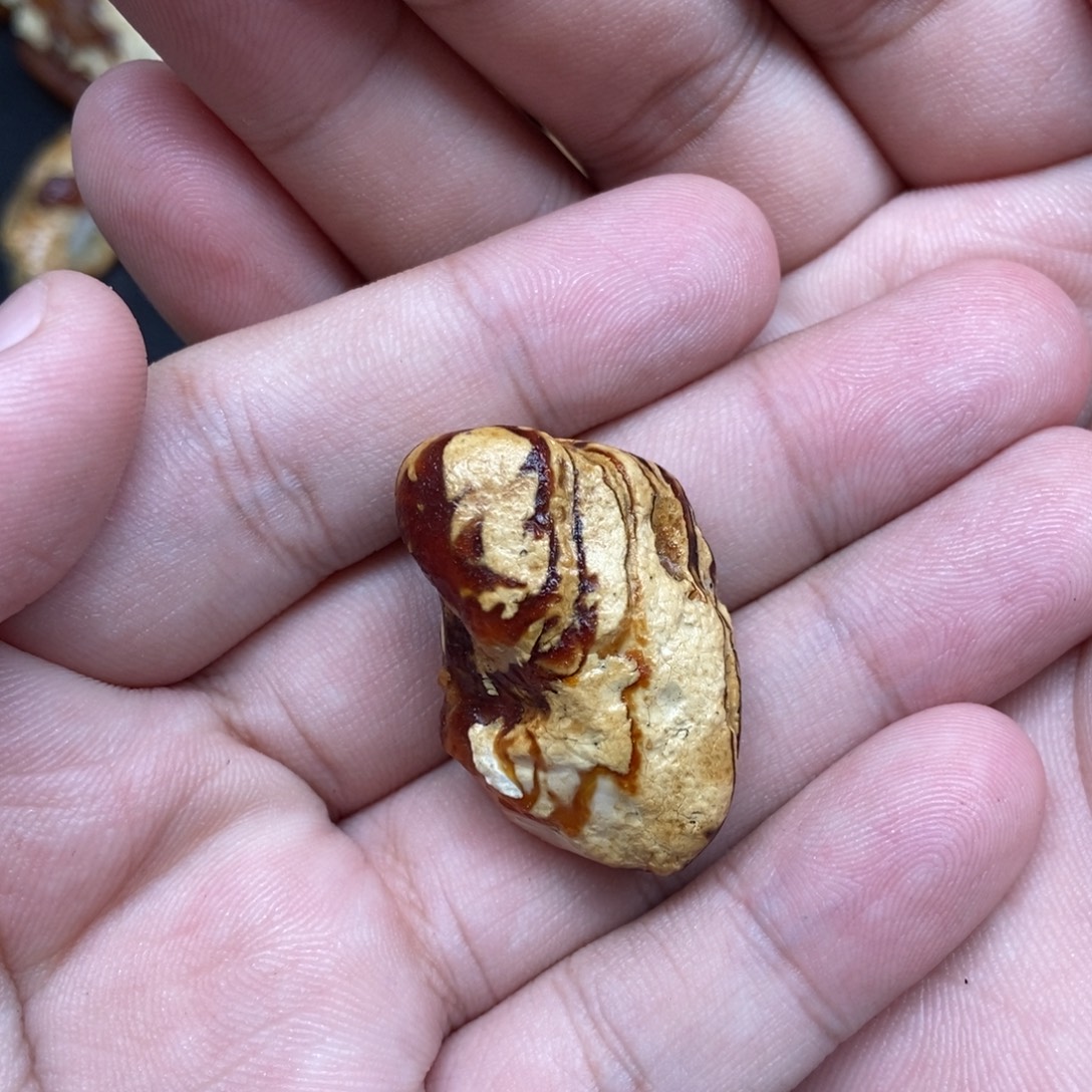 牛***.未镶嵌定制琥珀定制