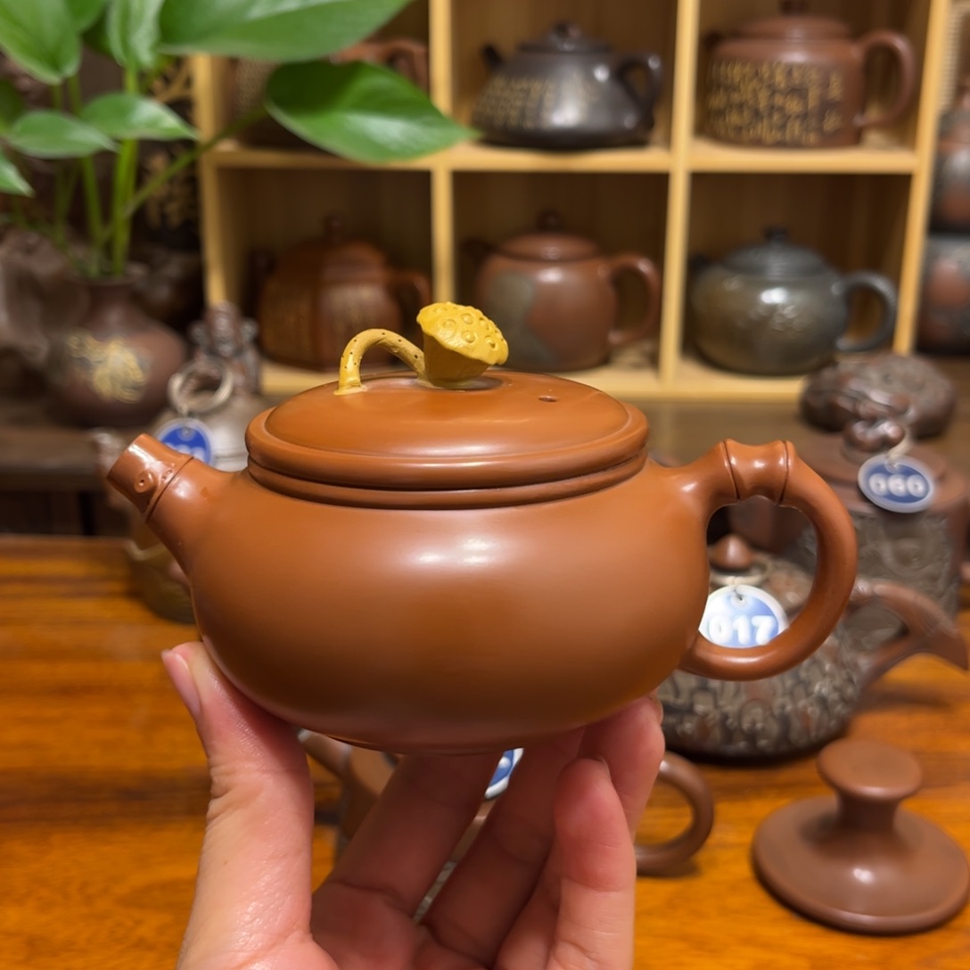 竹节莲蓬180 cc名家作品