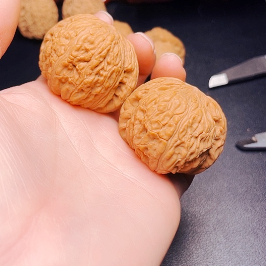 大叶紫檀（黑酸枝木类）弹****师