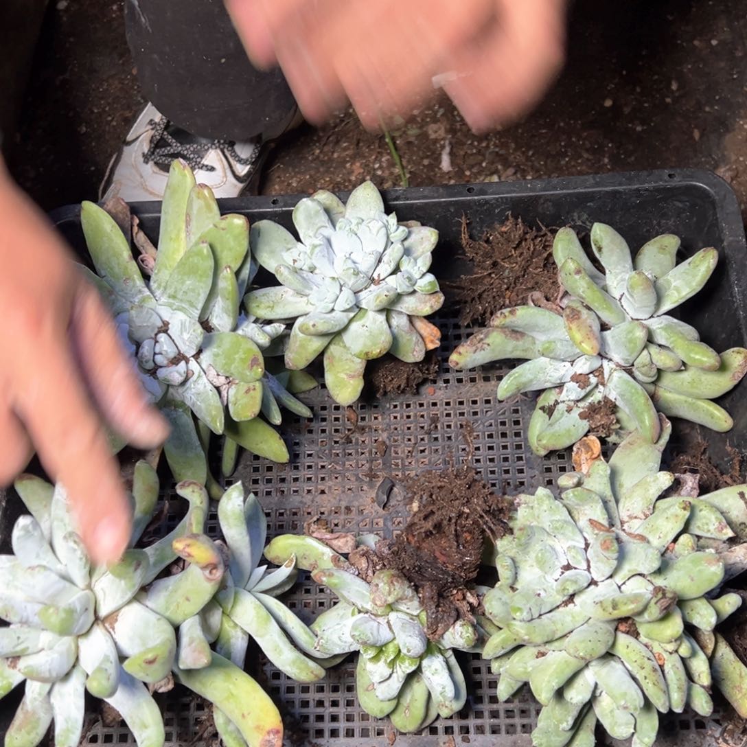 5652哈哈哈哈哈哈哈哈