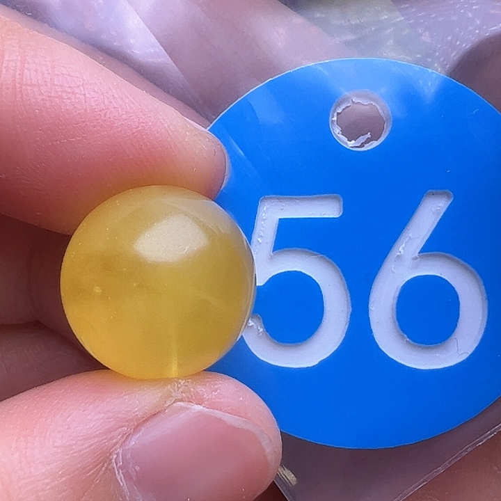 未镶嵌蜜蜡裸石花粉14.7m m