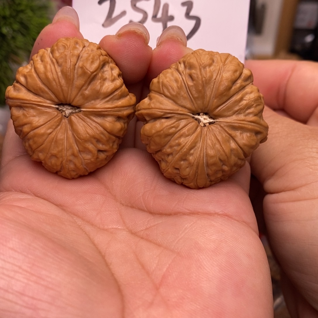 桃核吊坠南瓜墩。全品。边40。丹