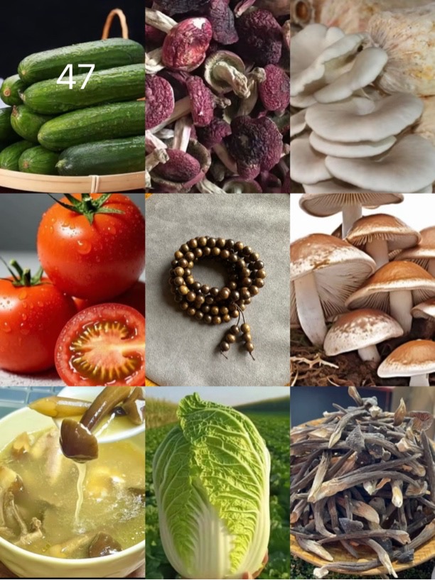 【阿成专属土特产47】红 重量：43g