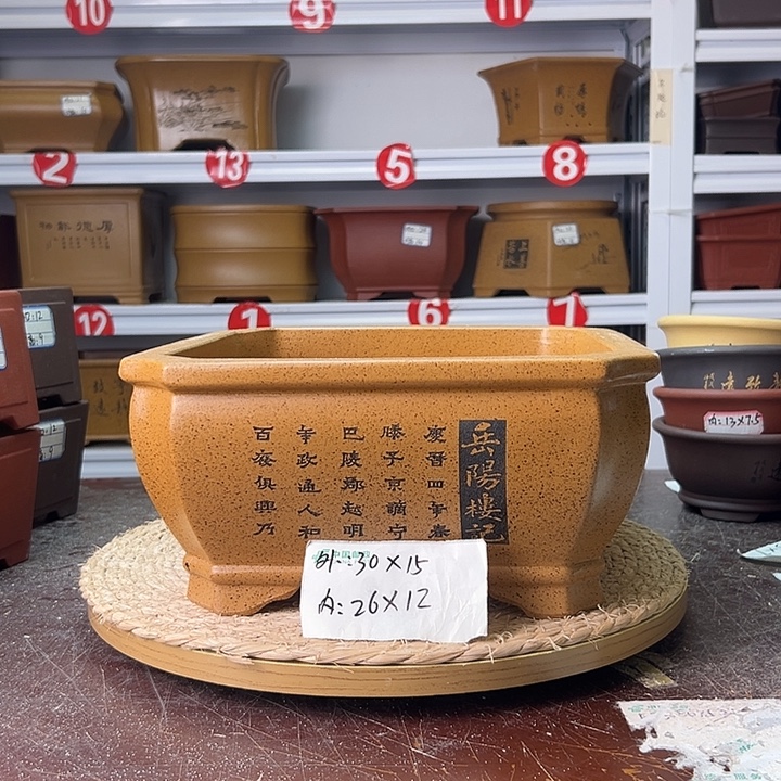 紫砂花盆蛇年大吉