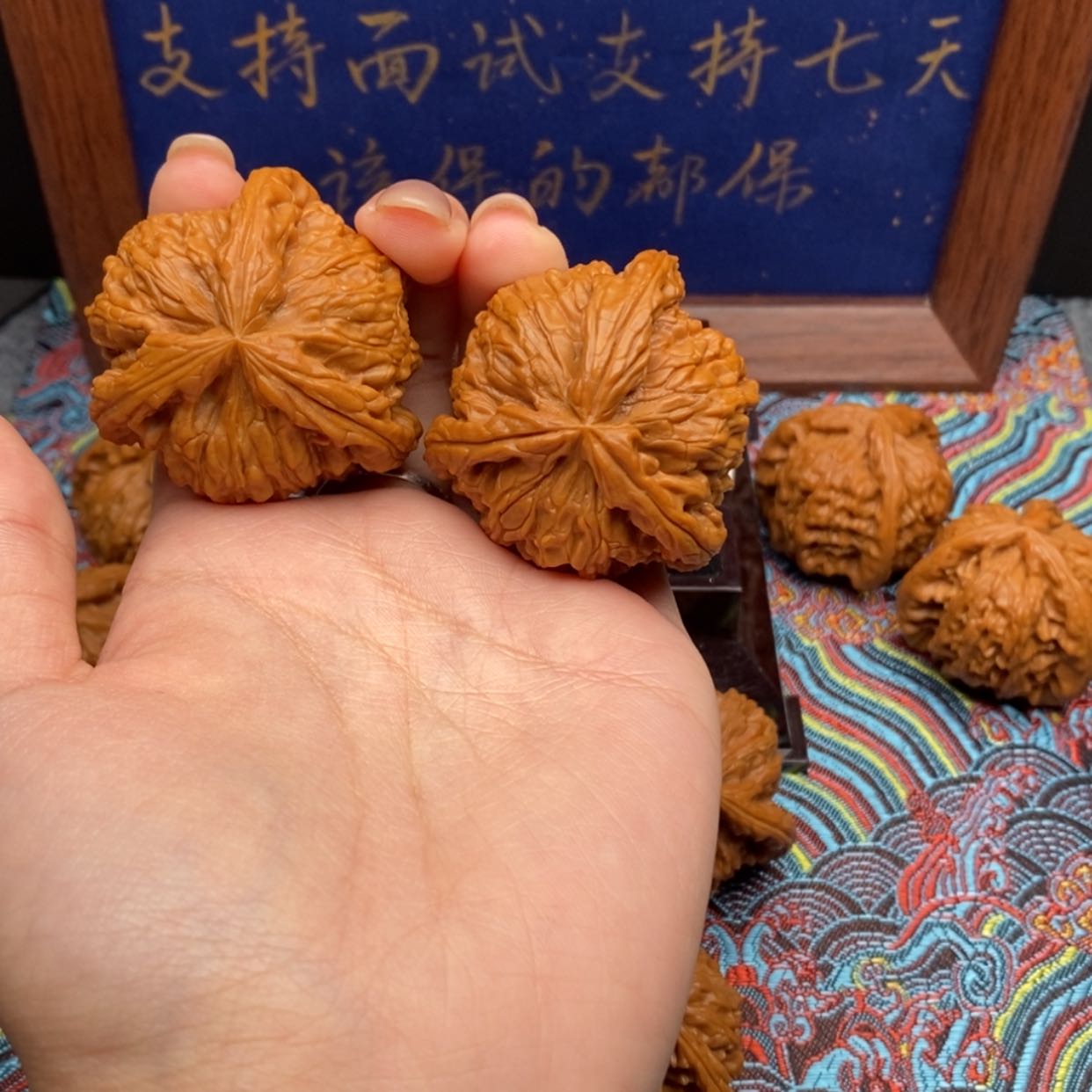 【闪购商品】东**士白狮