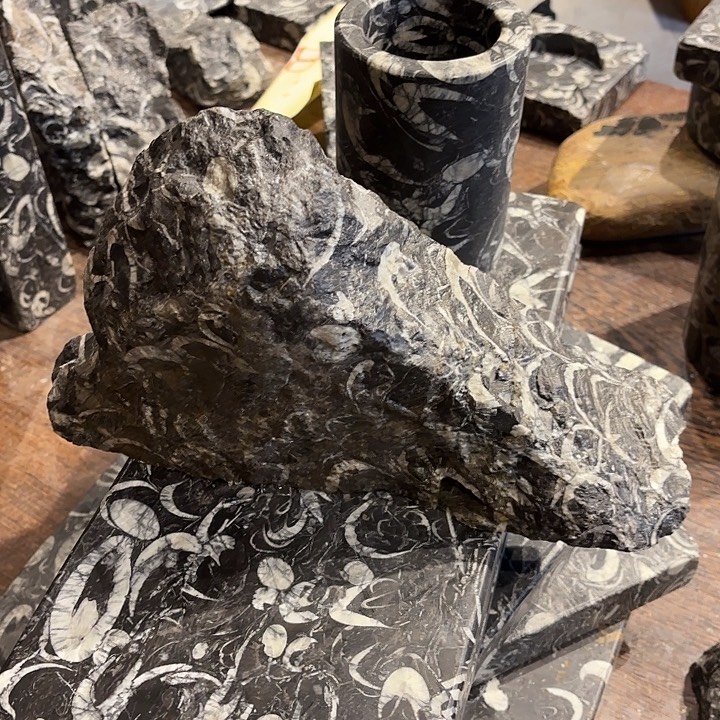 扇子生物化石山子摆件