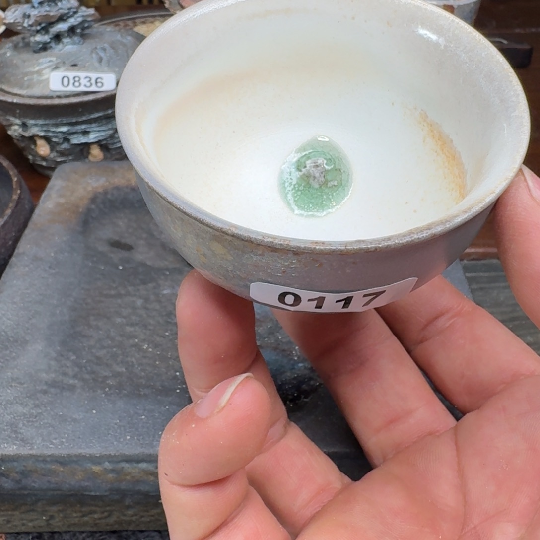 缸正月初一新春快乐117