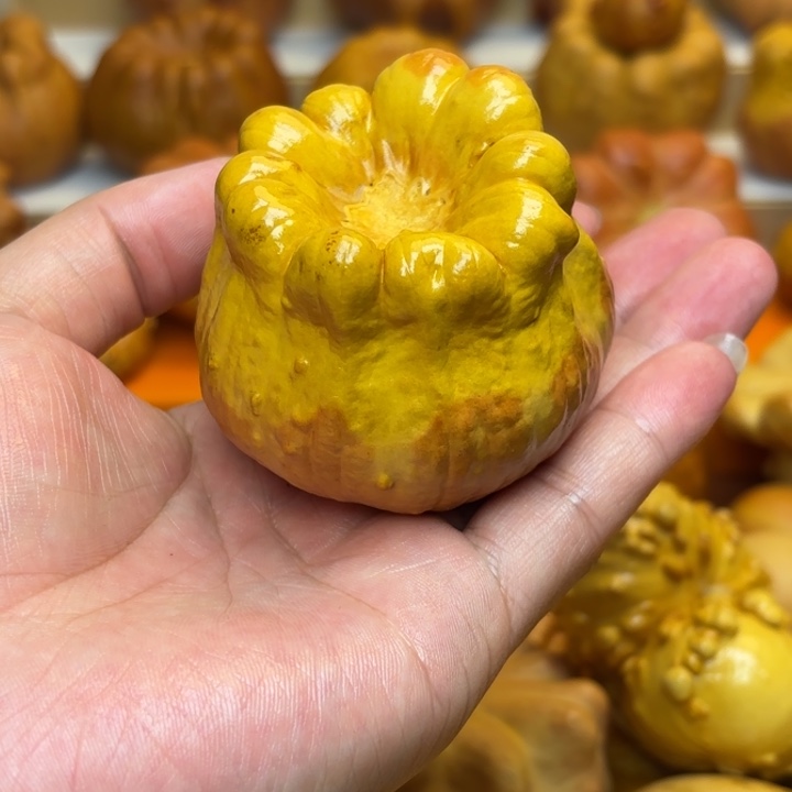 特价福利不退不换