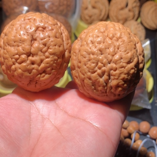 文玩核桃把件练手金刚菩提
