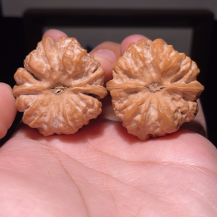 @***风核桃手串/手链蛤蟆头  