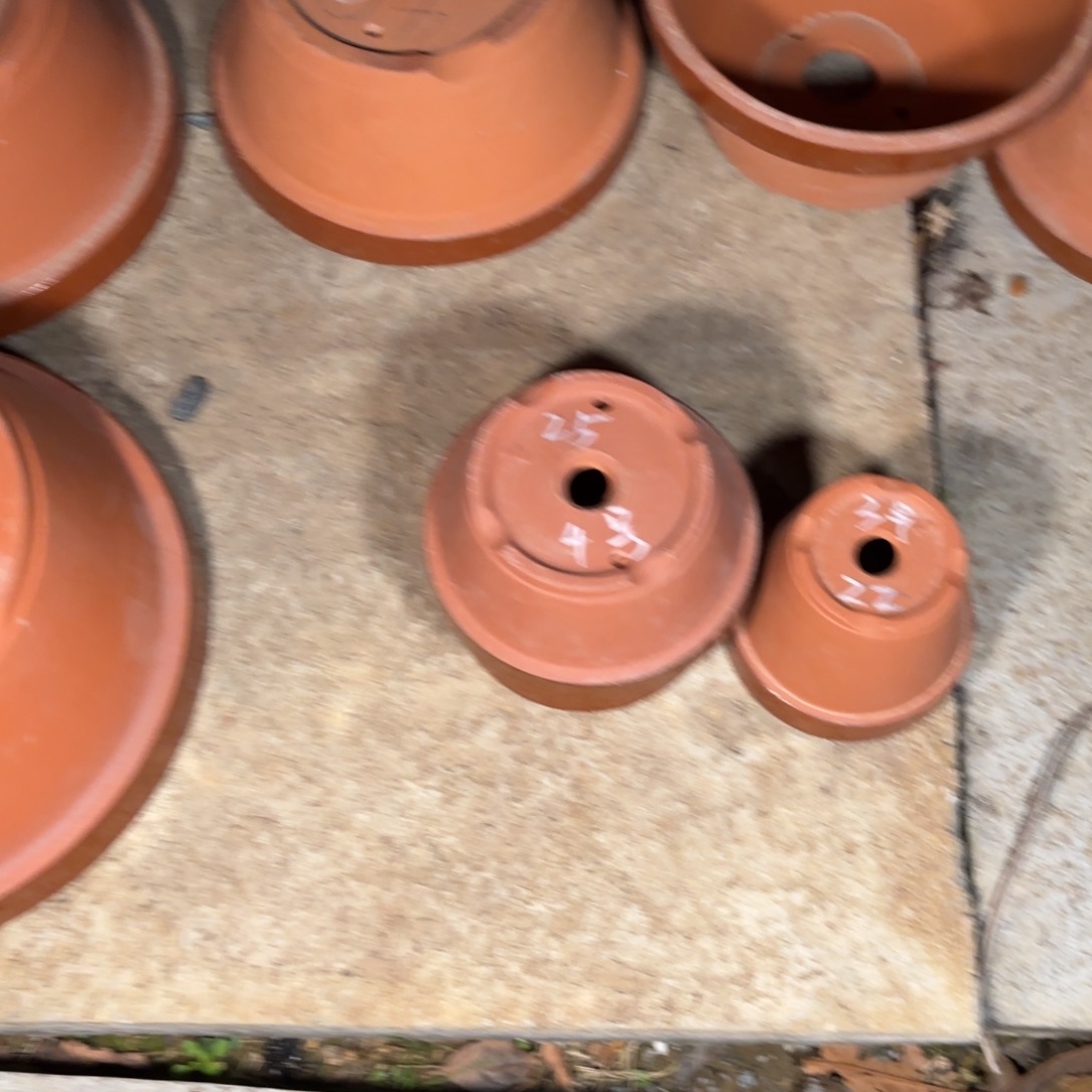 土***丝4号浅一个，打孔2包邮到家