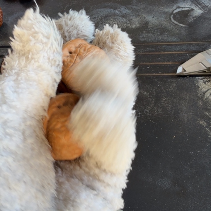 文玩核桃吊坠元宝