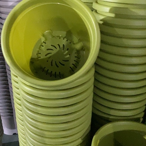 树脂四季3号果绿无托10个微瑕
