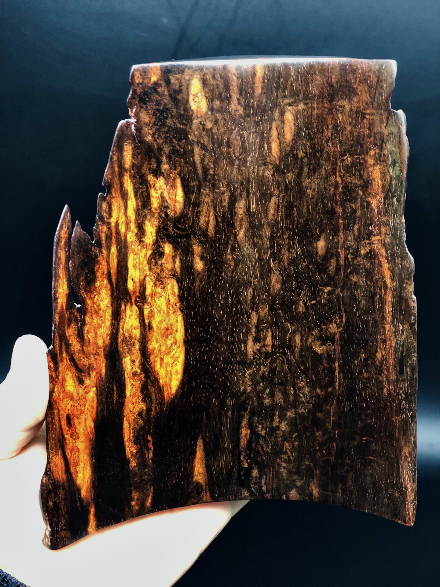 老挝大红酸枝【豆瓣.标本料】4号，可当茶侧、摆件等