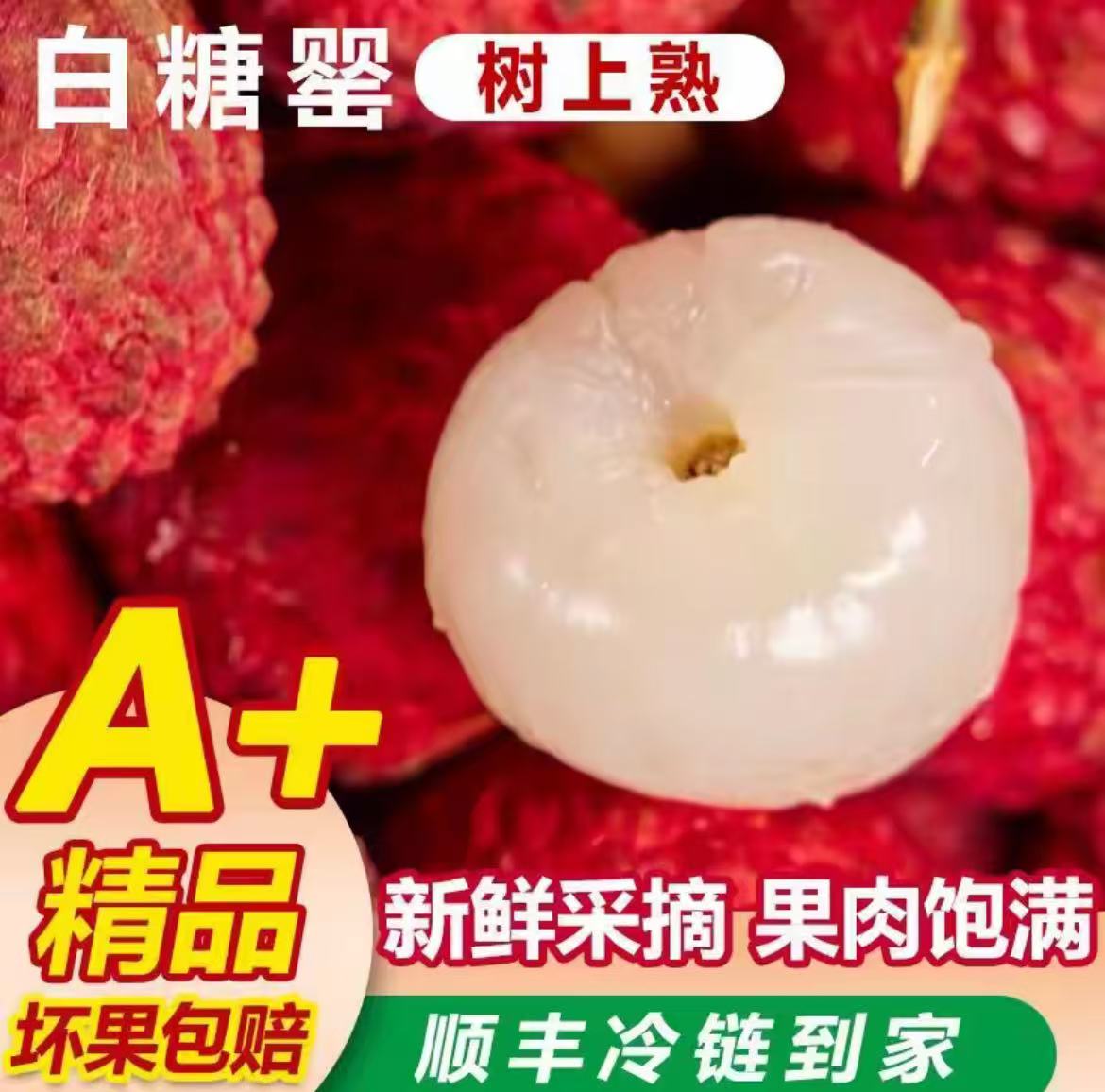 【顺丰冷链直发】头茬新鲜白糖罂荔枝当季新鲜水果坏了包退