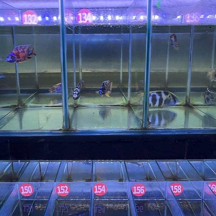 快***禾海水鱼131➕133➕135鱼粮