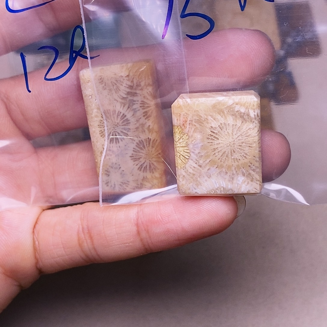 c***兔硅化玉合金珊瑚玉