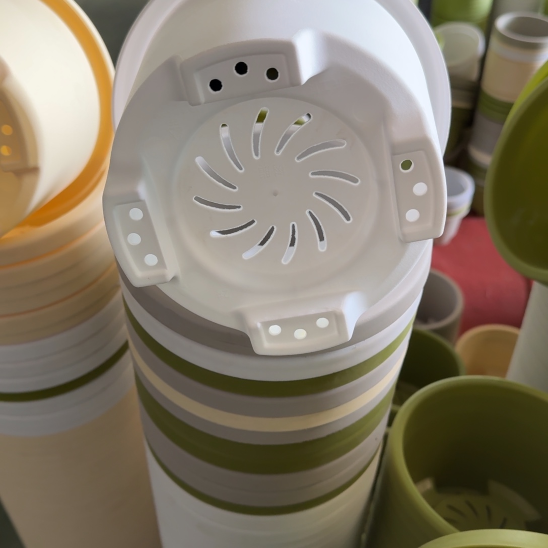 球根2号10个白色口径21高15