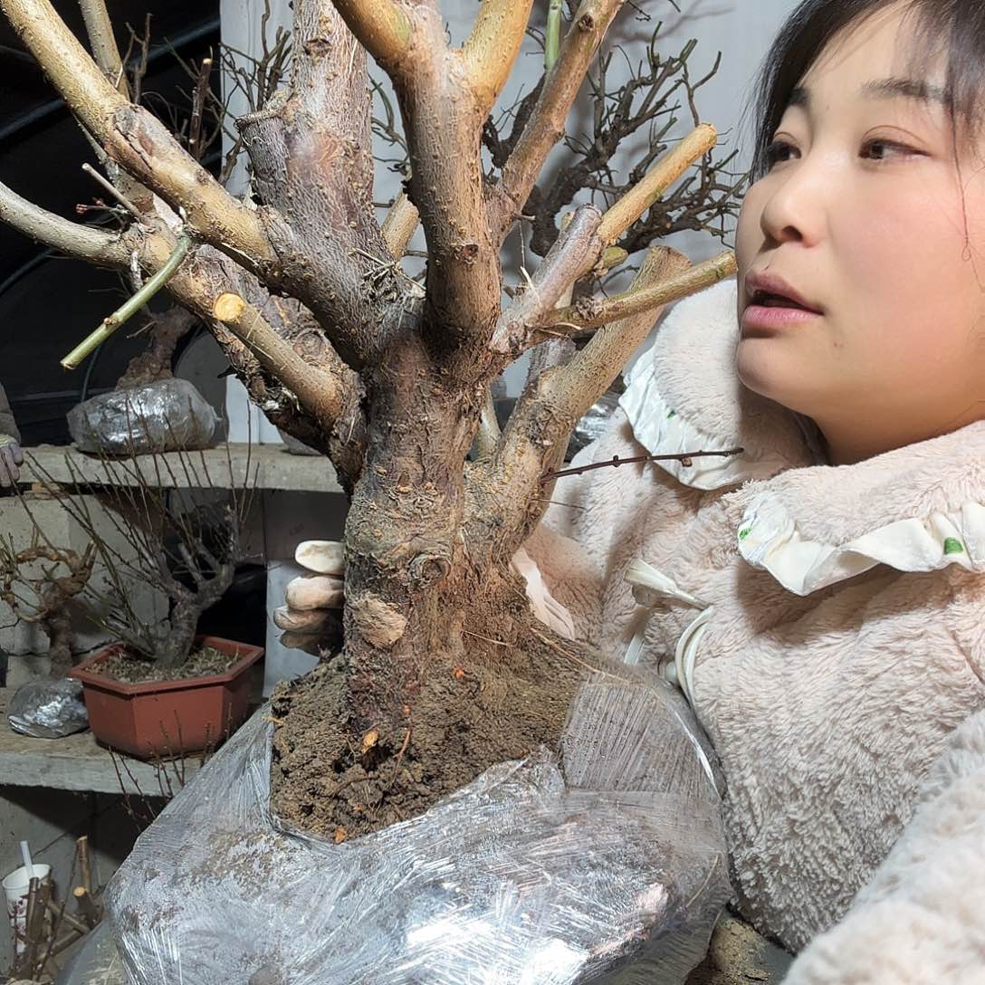 无花朵我们在外面玩啊